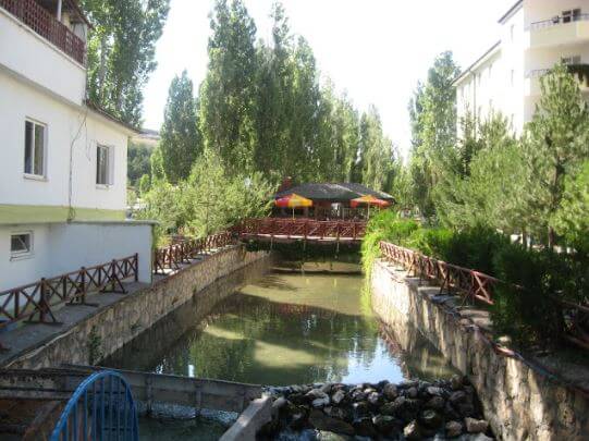 Kangal Fish Spring Sivas